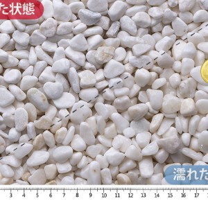 白大理石を砕いた砂利に、ドラム加工をして丸みをつけた玉石です。きれいな白色が特徴です。